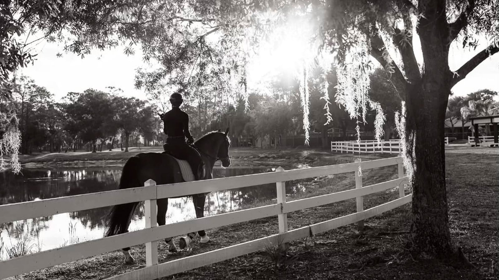 Equestrian sports medicine and rider health