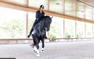 Equestrian sports medicine and rider health