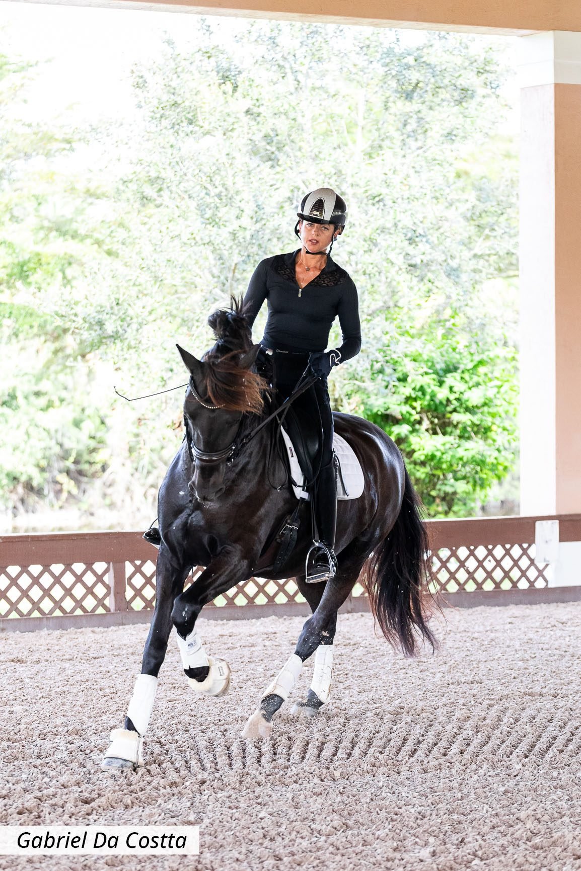 Equestrian sports medicine and rider health