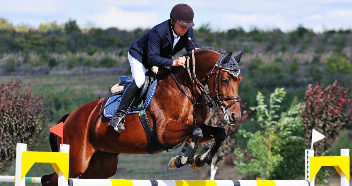Show jumper and horse clearing an oxer, the kind of effort a rider's own conditioning has to support.