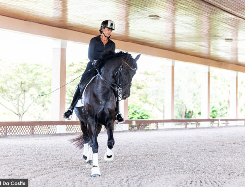 Riding Strong: Empowering Equestrian Athletes with Holistic Health Strategies – Part II