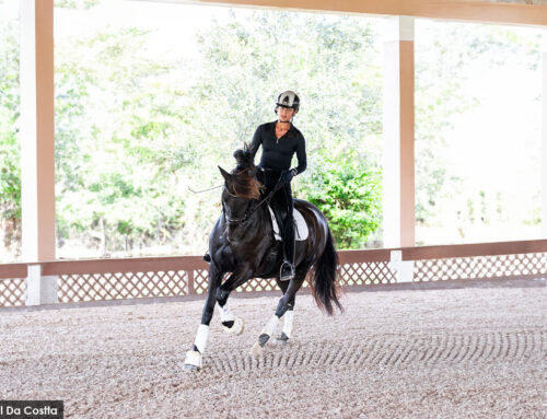 Protected: Common Musculoskeletal Complaints among Equestrians