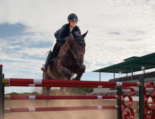 Mobility in Equestrian Sports