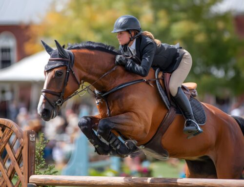 Ride Better, Ride Longer: Elevating Equestrian Wellness with Regenerative and Adjunctive Therapies
